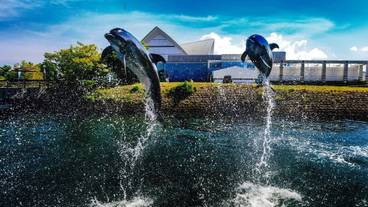 観光スポット / 7