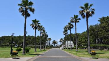 辻堂海浜公園 / 2