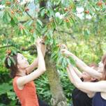 食べて美味しい、体験して楽しい♪女子が好きな味覚狩り8選【全国】
