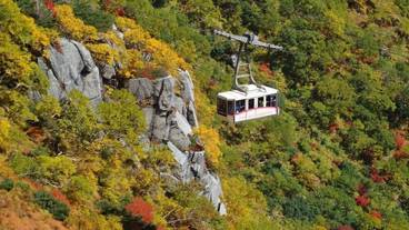 観光スポット / 16