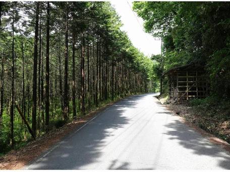 猪ノ田温泉 絹の湯 久惠屋旅館（ひさえや） / 5