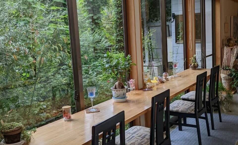 木漏れ日のテーブル / 1