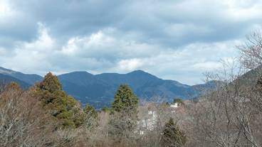 マウンテン ビュー / 7