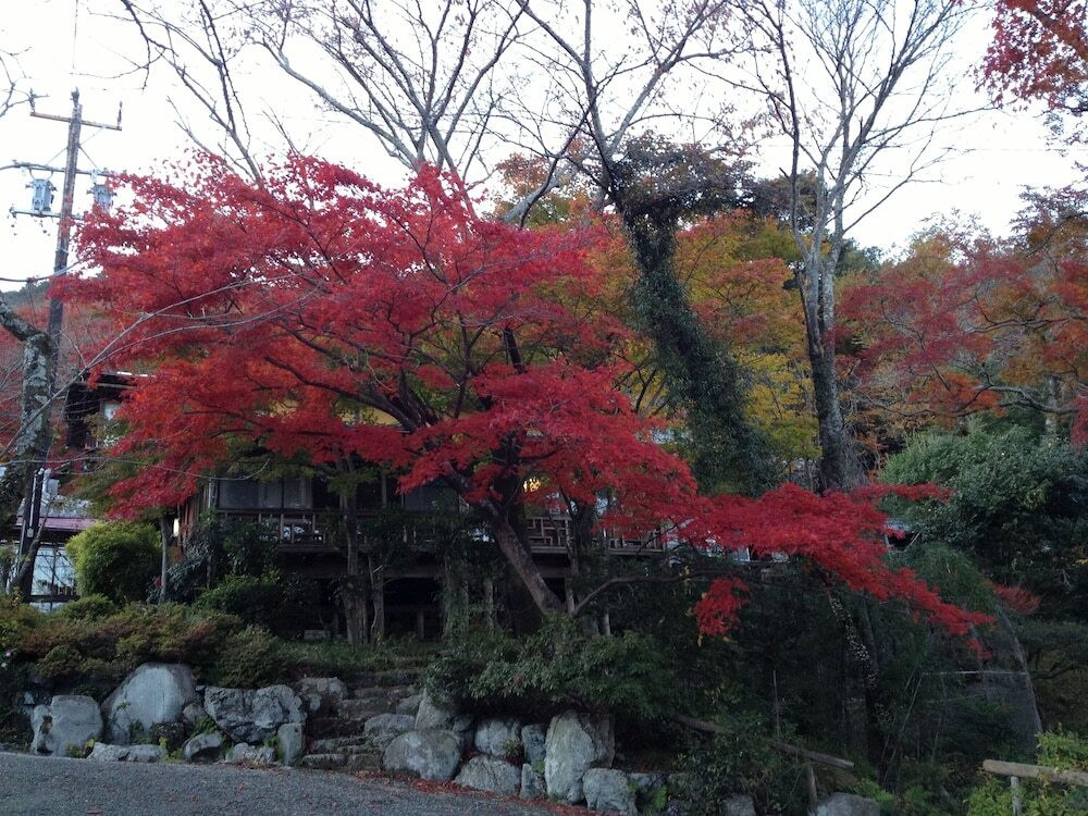 庭園