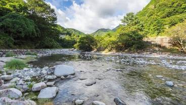 子供向けアクティビティ / 6