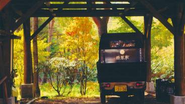 施設の敷地 / 13