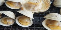 九十九里名物！焼はまぐりなら老舗＆人気店の「向島」へ！