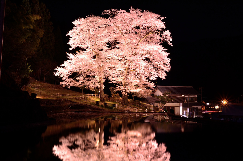 圧倒的な存在感。夜は幻想的で息をのむ美しさ4089014