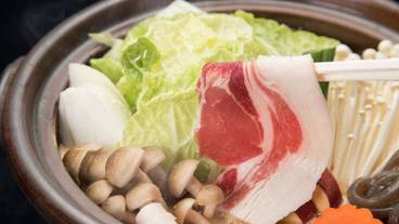 食事・飲み物 / 19