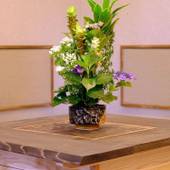 由布院温泉 ゆふいん宿 清孔苑（大分県 旅館） / 3