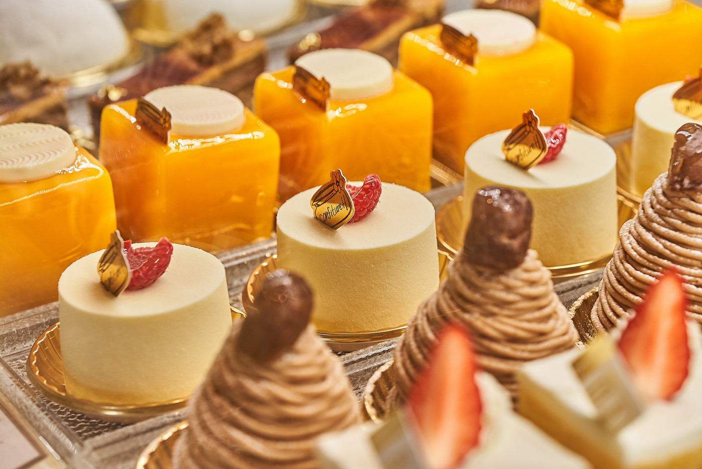 アクアイグニス4246719