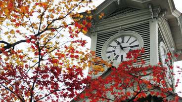 観光スポット / 14