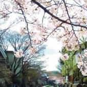 ホテルニューオウミ（ホテルニューオータニ アソシエイト）（滋賀県 シティホテル） / 4