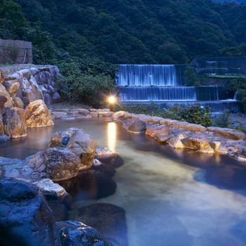 野趣あふれる天然温泉で日頃の疲れも癒せる3571564