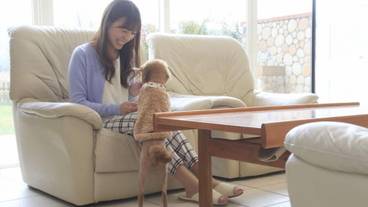 リビング エリア / 17