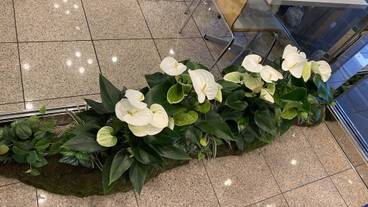 内部エントランス / 2
