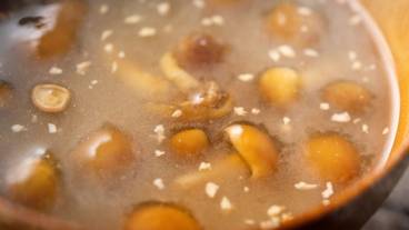 ビュッフェ / 33