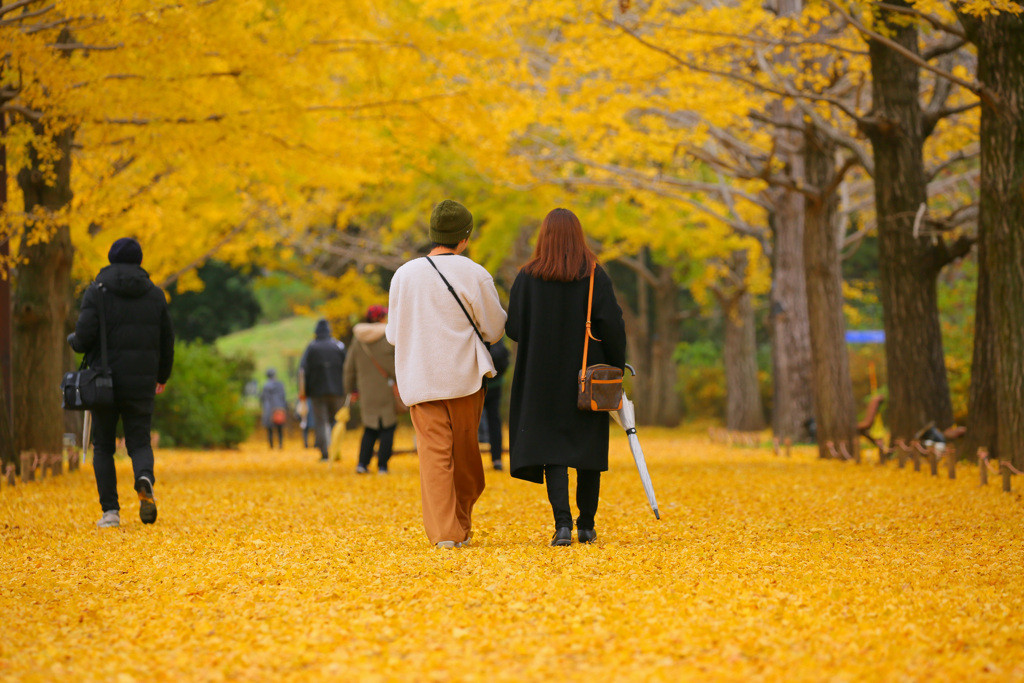  彼と2人、紅葉を楽しむリフレッシュ旅3639695