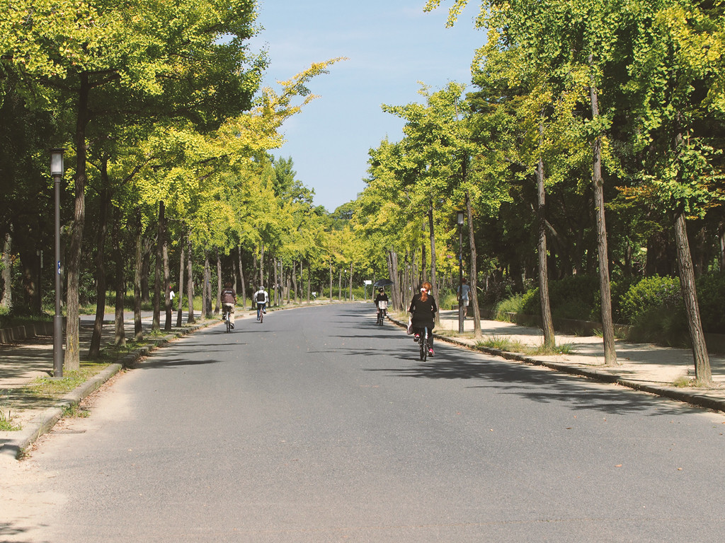 5.デートの定番場所にしたくなる「大阪城公園(大阪市中央区)」1937643
