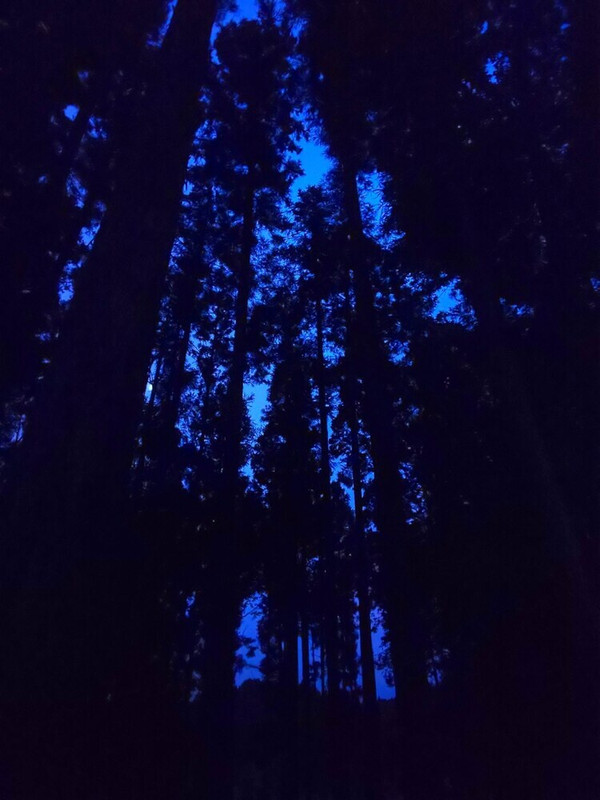 施設の正面 (日没後)