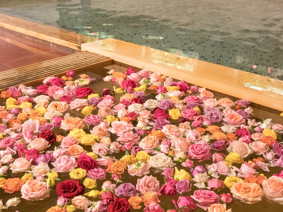 バラ風呂にテンションが上がる♪「ホテル千秋閣」3505406