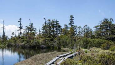 施設からの眺望 / 7