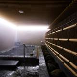 「東山の湯」半露天 / 3