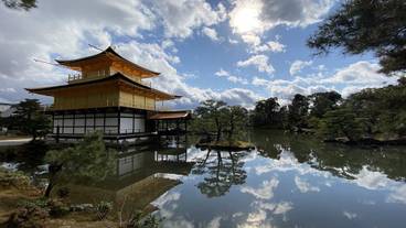 観光スポット / 5