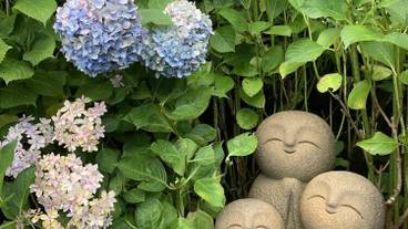 観光スポット / 14