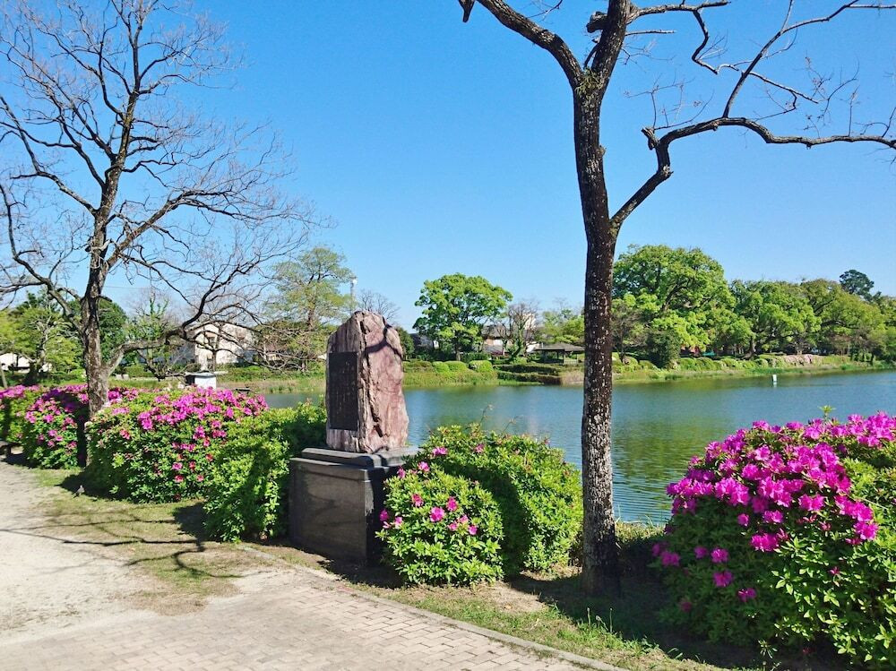 ランド ビュー