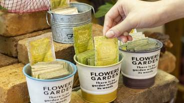 客室の設備とサービス / 16