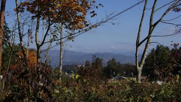 施設の敷地 / 19