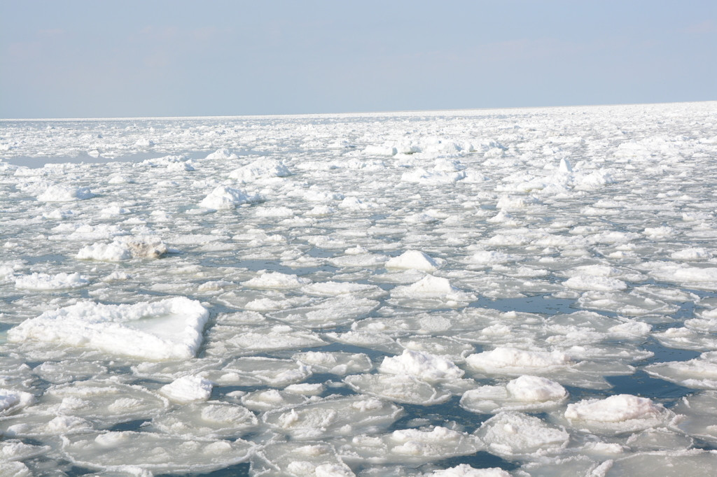 4.プリプリのホタテが朝から食べ放題！「紋別セントラルホテル」3917196