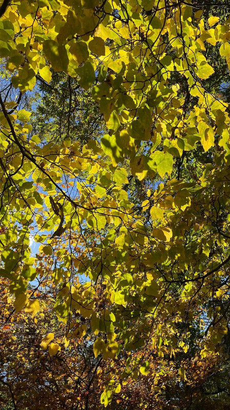 i.am.izumiさんの写真 / 5