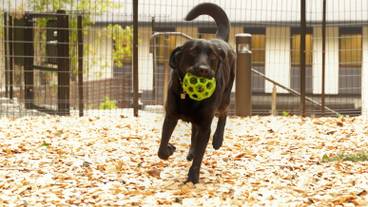 レジーナリゾート箱根仙石原（レジーナリゾートハコネセンゴクハラ） / 1