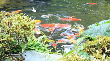 施設からの眺望 / 39