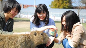 施設内の設備 / 3
