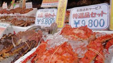 観光スポット / 11