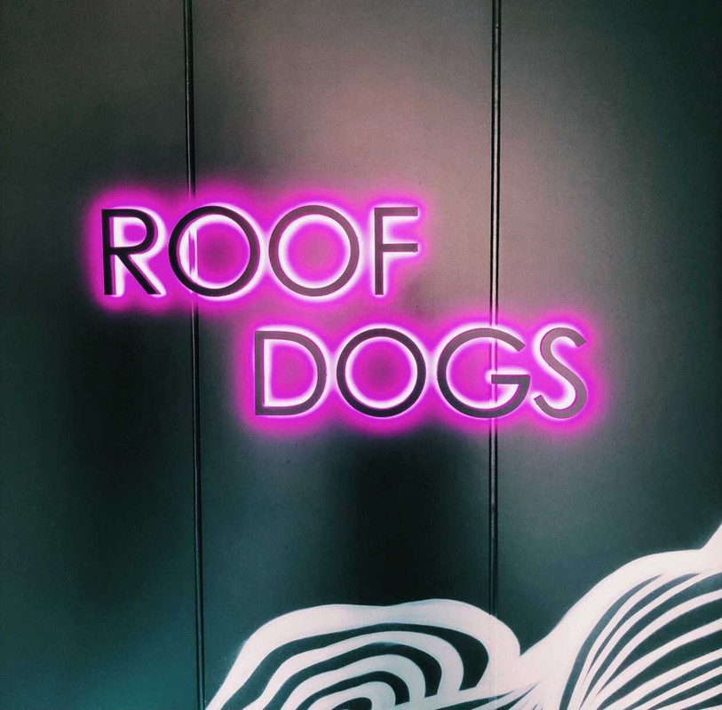 lucahayaseさんの写真 / 1