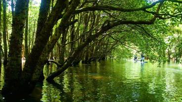 ランド ビュー / 18