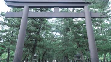 観光スポット / 16