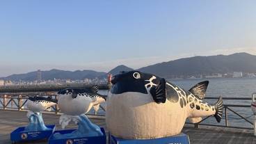 ランド ビュー / 17