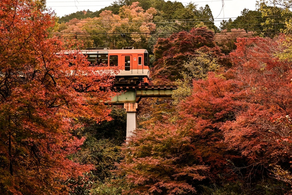 京都市外へ足を延ばして、あなただけのとっておきの旅を♩2618582