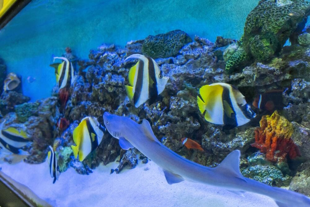 エンタメ要素満載！2段ベッドの客室はグループ女子旅に◎4760661