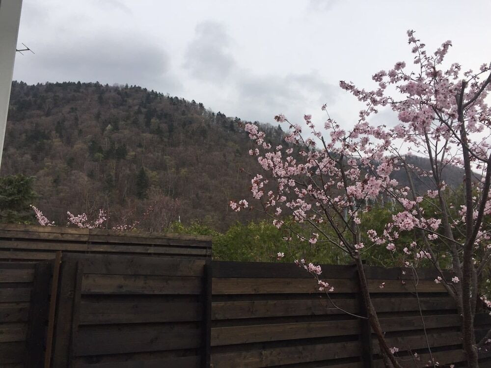 マウンテン ビュー