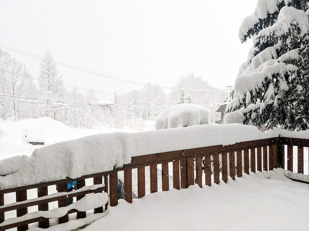 テラス / パティオ