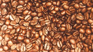 コーヒー サービス / 1