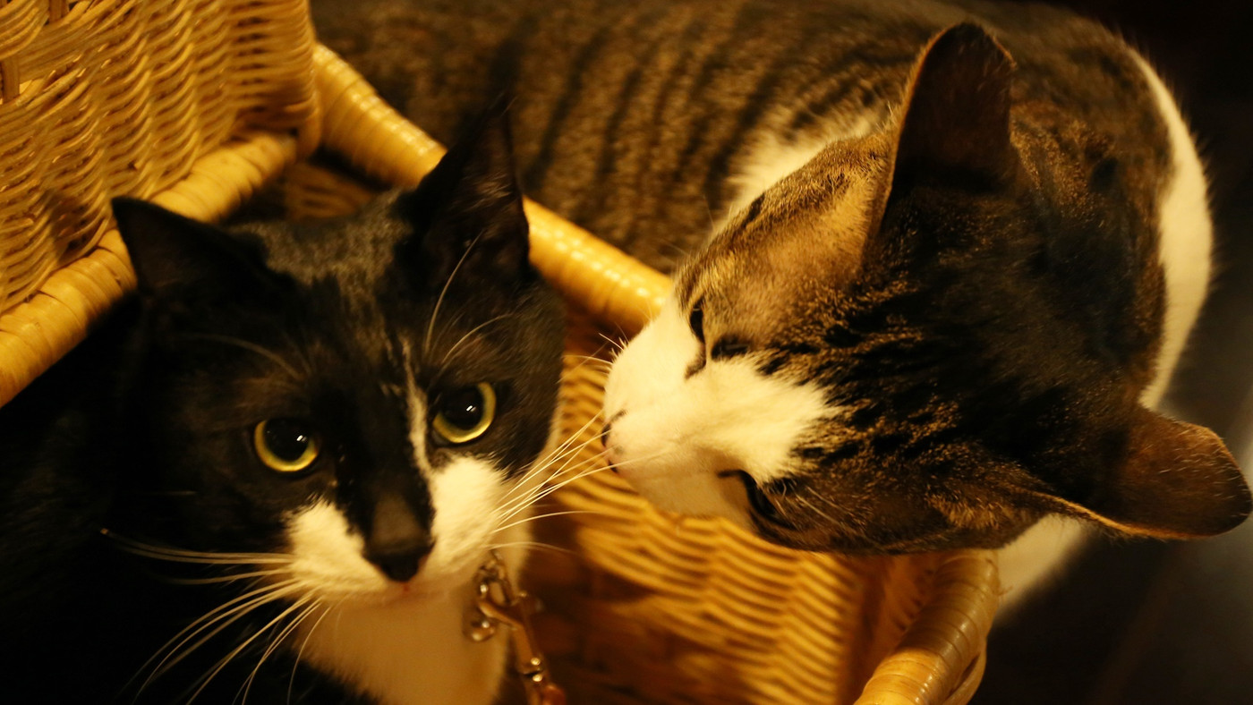 おでんくん・かぐらくん4069505