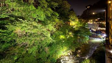 部屋からの景観 / 13