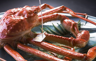 [Toyama] 10 ryokan that boast crab dishes! Relax in the exquisite snow crab and onsen ♡